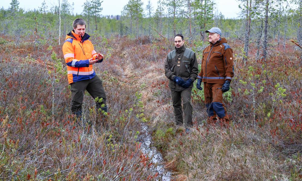 Metsänhoitoyhdistys Pohjois-Karjalan luonnonhoidon asiantuntija Panu Kukkonen, Pohjois-Karjan Osuuskaupan vastuullisuusjohtaja Petri Vähä ja metsänomistaja Petri Purmonen vierailemassa ennallistettavalla Kuikkasuolla. Kuva: Jarno Artika/PKO